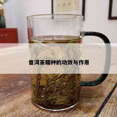 普洱茶糯种的功效与作用