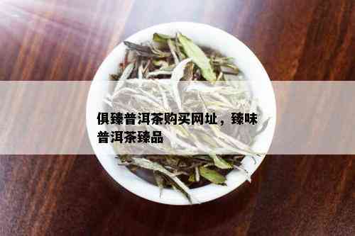 俱臻普洱茶购买网址，臻味普洱茶臻品