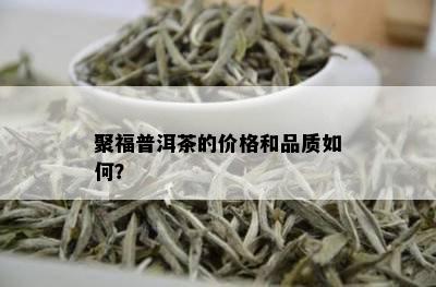 聚福普洱茶的价格和品质如何？