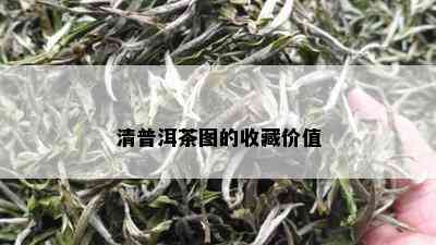 清普洱茶图的收藏价值