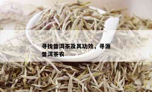 寻找普洱茶及其功效，寻源普洱茶农