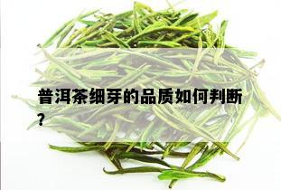 普洱茶细芽的品质如何判断？