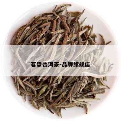 茗挚普洱茶-品牌旗舰店