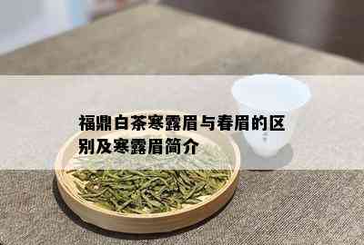 福鼎白茶寒露眉与春眉的区别及寒露眉简介