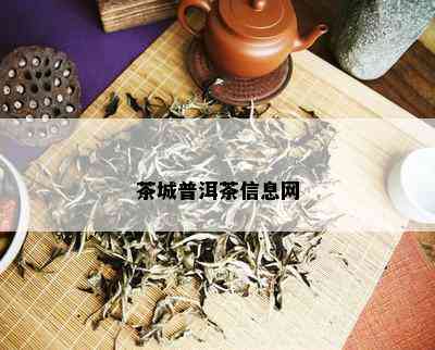 茶城普洱茶信息网