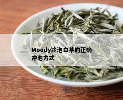 Moody冷泡白茶的正确冲泡方式