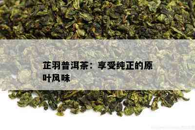 芷羽普洱茶：享受纯正的原叶风味