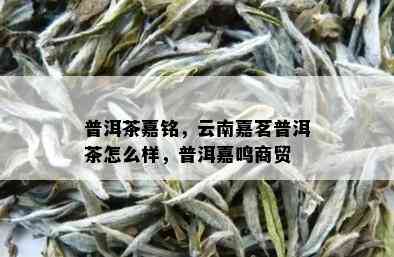 普洱茶嘉铭，云南嘉茗普洱茶怎么样，普洱嘉鸣商贸