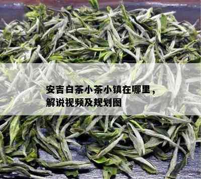 安吉白茶小茶小镇在哪里，解说视频及规划图