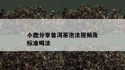 小鹿分享普洱茶泡法视频及标准喝法