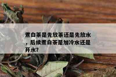 煮白茶是先放茶还是先放水，后续煮白茶是加冷水还是开水？