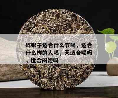 碎银子适合什么节喝，适合什么样的人喝，天适合喝吗，适合闷泡吗