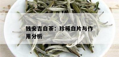 钱安吉白茶：珍稀白片与作用分析