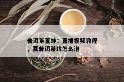 普洱茶直蚌：直播视频教程，真普洱茶珍怎么泡