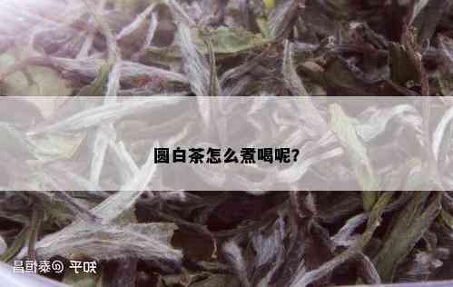 圆白茶怎么煮喝呢？