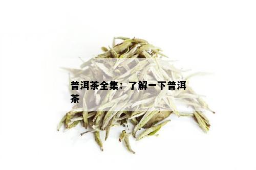 普洱茶全集：了解一下普洱茶