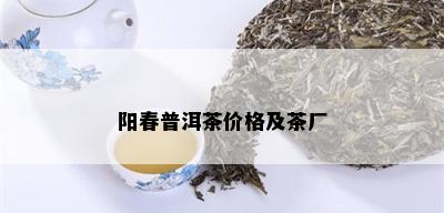 阳春普洱茶价格及茶厂