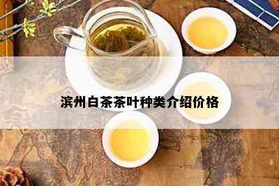 滨州白茶茶叶种类介绍价格