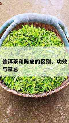 普洱茶和陈皮的区别、功效与禁忌