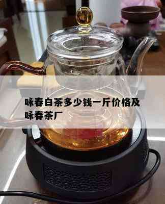 咏春白茶多少钱一斤价格及咏春茶厂