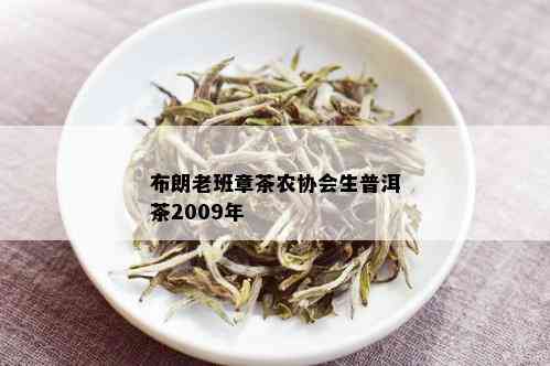 布朗老班章茶农协会生普洱茶2009年