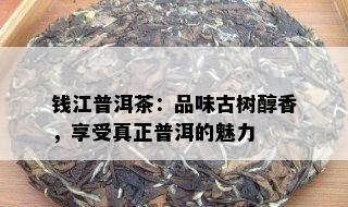 钱江普洱茶：品味古树醇香，享受真正普洱的魅力