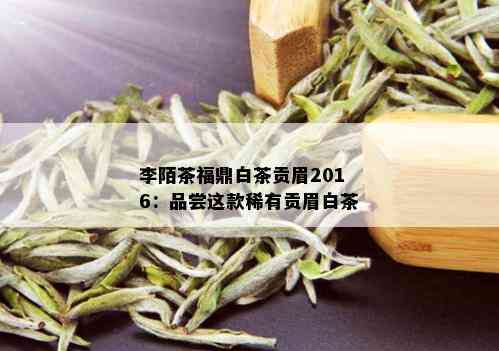 李陌茶福鼎白茶贡眉2016：品尝这款稀有贡眉白茶