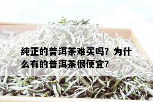 纯正的普洱茶难买吗？为什么有的普洱茶很便宜？