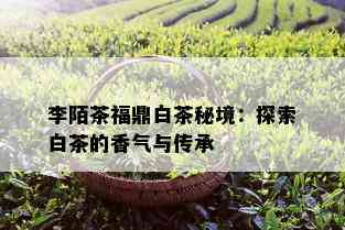 李陌茶福鼎白茶秘境：探索白茶的香气与传承