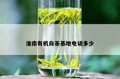 淮南有机白茶基地电话多少