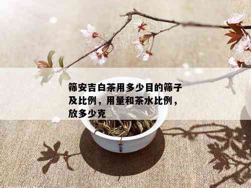 筛安吉白茶用多少目的筛子及比例，用量和茶水比例，放多少克