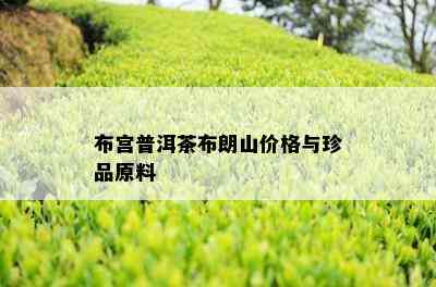 布宫普洱茶布朗山价格与珍品原料