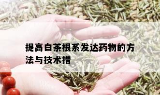 提高白茶根系发达物的方法与技术措