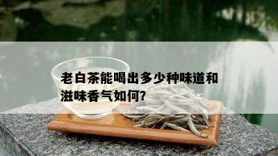 老白茶能喝出多少种味道和滋味香气如何？