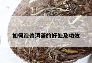 如何泡普洱茶的好处及功效