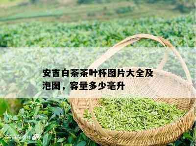 安吉白茶茶叶杯图片大全及泡图，容量多少毫升