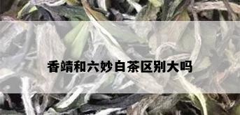 香靖和六妙白茶区别大吗