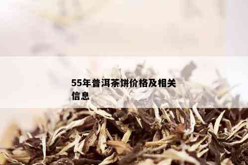 55年普洱茶饼价格及相关信息