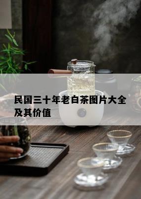 民国三十年老白茶图片大全及其价值