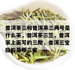 普洱茶三和普洱茶三两号是什么茶，普洱茶三笠，普洱茶上面写的三爬，普洱三宝指的是哪三宝