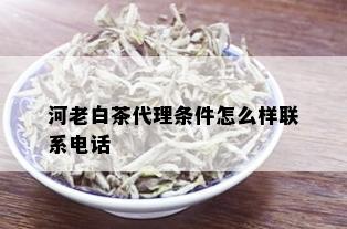 河老白茶代理条件怎么样联系电话