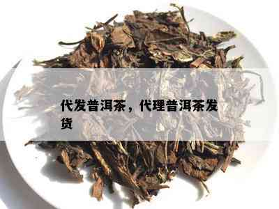 代发普洱茶，代理普洱茶发货