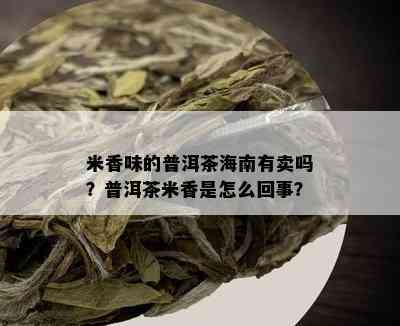 米香味的普洱茶海南有卖吗？普洱茶米香是怎么回事？