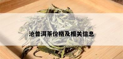 沧普洱茶价格及相关信息