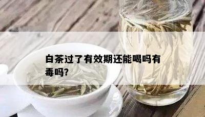 白茶过了有效期还能喝吗有吗？