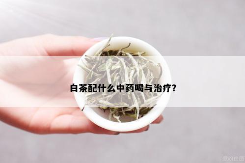 白茶配什么中喝与治疗？