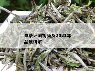 白茶评测视频及2021年品质讲解