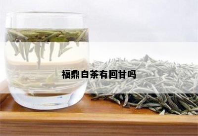 福鼎白茶有回甘吗