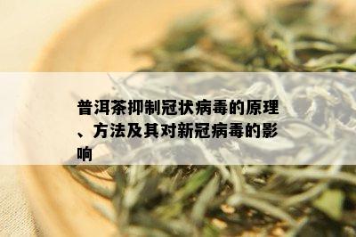 普洱茶抑制冠状病的原理、方法及其对新冠病的影响