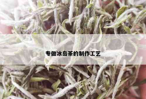 专做冰岛茶的制作工艺